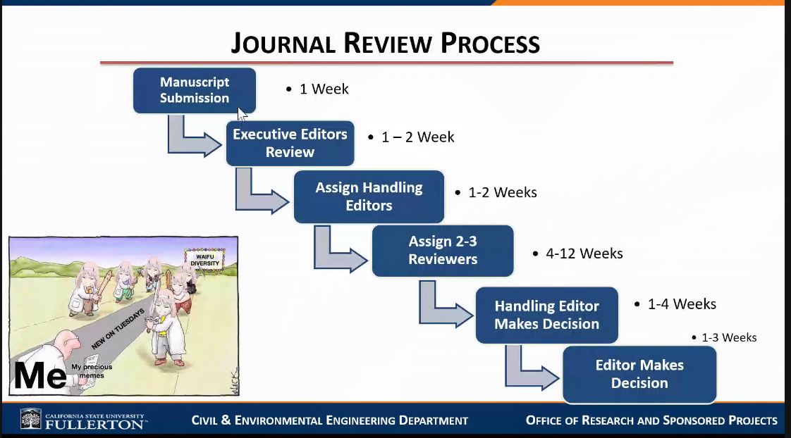 review process.png